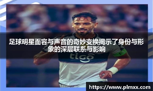 BB贝博艾弗森官方网站