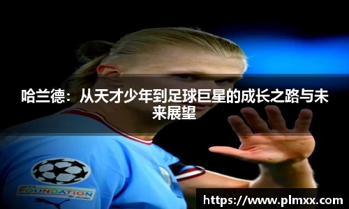ballbet贝博