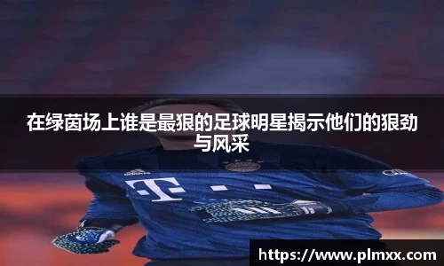 在绿茵场上谁是最狠的足球明星揭示他们的狠劲与风采
